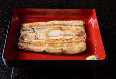 うなぎ処 駒門ひろ田のコース写真