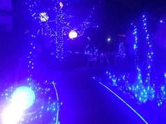 リストランテ 谷澤のコース写真