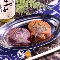 ヒオウギ貝