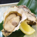 料理メニュー写真&nbsp;濃厚生牡蠣1P