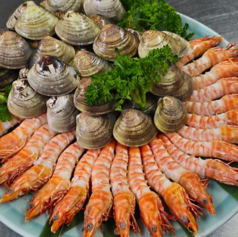 居心地屋 大海 うみ特集写真1