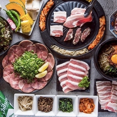レモンサワーと韓国焼肉食べ放題 サカバカンビ 博多 【個室完備】のコース写真