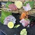 料理メニュー写真&nbsp;お刺身単品690円・3種盛り1160円