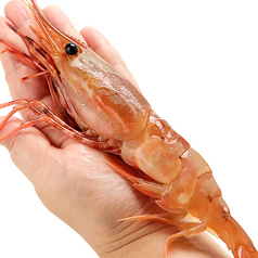 えん　風雅のおすすめ料理1