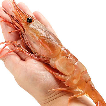 えん　風雅のおすすめ料理1