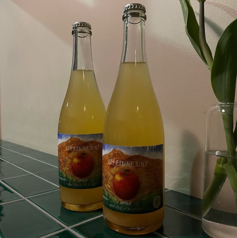 リップシードル2023