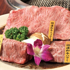 炭火焼肉 羅山 琴似店 琴似 焼肉 ホルモン ネット予約可 ホットペッパーグルメ
