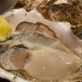 料理メニュー写真&nbsp;生牡蠣1個