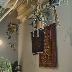 Roasted COFFEE LABORATORY ローステッド コーヒー ラボラトリー 渋谷神南店の特集写真