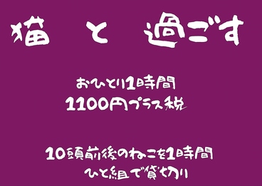 小っちゃな猫カフェ アフロディーテのおすすめ料理1