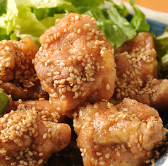 からげんきのコース写真