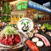 韓国鉄板焼センターハナの詳細