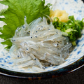 料理メニュー写真 生しらす