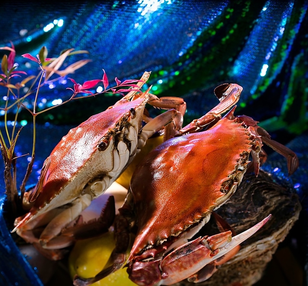 魚屋自慢の食材をご堪能ください。
