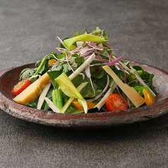 十二種野菜のサラダ　玉葱ドレッシング