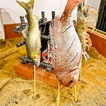 炭 酒 ここち酔い 広島 流川