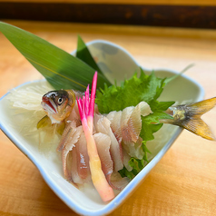 活鮎のお造り