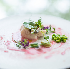 リストランテ フィッシュボーンのコース写真