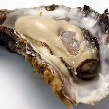 串揚げCOZYダイナーのおすすめ料理1