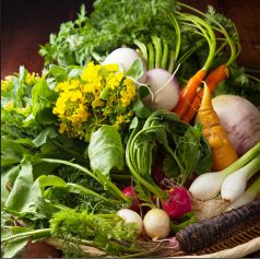 【彩りも鮮やか】地物の鎌倉野菜をふんだんに使用♪