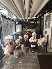 ワンチャン連れOK♪団体様でもご案内できます。