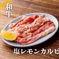 料理メニュー写真&nbsp;塩レモンカルビ
