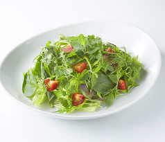 グリーンハーブサラダ
