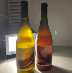 サンティス 2022