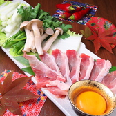 県外からお越しの方にも◎熊本の郷土料理に、鹿児島の幻の鶏『鹿児島シャポーン鶏』をご用意しております。
