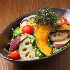たっぷり野菜チップス加賀野菜サラダ