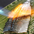 料理メニュー写真&nbsp;[平塚産]極上鯖の炙り〆さば