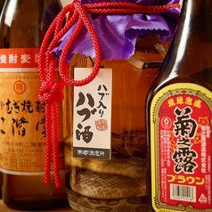沖縄といえばハブ酒！観光ついでに是非◎