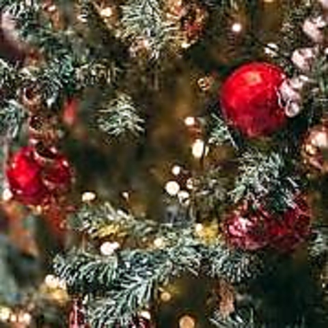 12/24・25 クリスマスプレミアムディナーコース御予約受付中！素敵な大切なディナーに