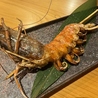 SUMI base やおや 浜松店のおすすめポイント2