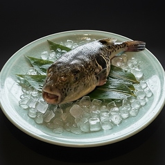 明石倶楽部 箕面店のコース写真