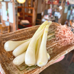 沖縄産　島らっきょう塩漬けor天ぷら