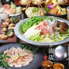 全席完全個室 炭火地鶏 はるき商店 平塚駅前店特集写真1