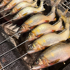 めしや しの崎の特集写真