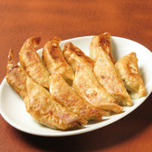 とんとん餃子 華苑飯店の詳細