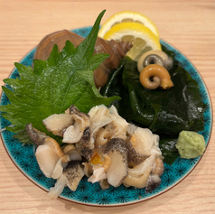 活つぶ貝刺身
