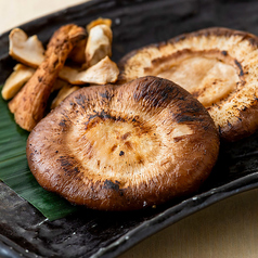 肉厚椎茸