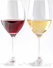 いけす道場魚家 東陽町店のおすすめドリンク3