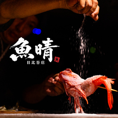 鮮魚と地酒 魚晴の写真