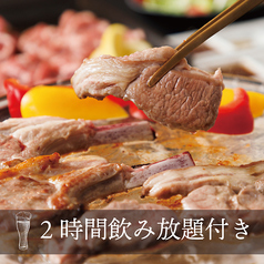インド料理 ムンバイ 銀座店のコース写真