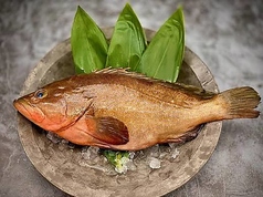 焼鳥ダイニング 鳥火鳥火 ちょびちょび 本店のコース写真