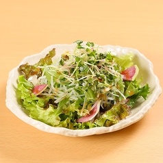 薬味たっぷり新鮮サラダ