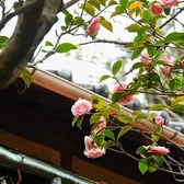 【四季の移ろいを愉しむ】神戸会下山の小高い丘に位置する当店。春には桜の花が咲き誇り、夏は緑豊かな景色が広がります。秋には色づく落ち葉、冬は静かな雪景色が訪れ、どの季節も異なる美しさがあります。自然と調和した空間で、神戸会下山で四季の魅力を味わってください。