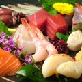 料理メニュー写真&nbsp;本日のお刺身盛り合わせ