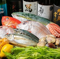 海鮮酒場 うお心のおすすめ料理2