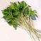 【ミツバ】数少ない日本原産の野菜。さわやかな香りが特徴のβーカロテンを多く含む緑黄色野菜です。